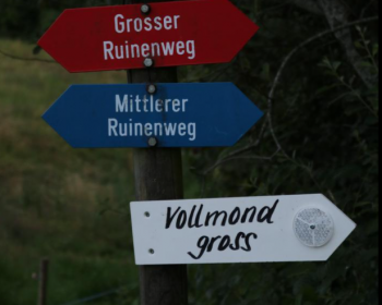 Wandernacht Bild 3